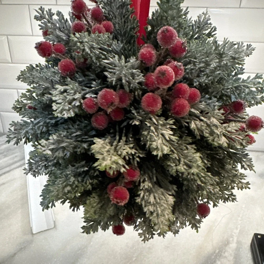 Martha Stewart HANGING TOPIARY KISSING PLANT BALL Winter Fern PIP Berries 8